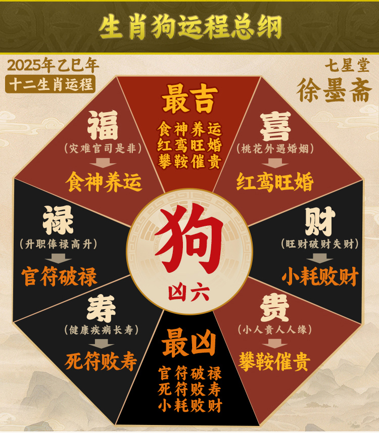 生肖狗男生今年的运势(属狗男今年运势2021年运势)